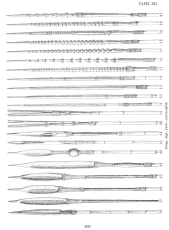 Wiethase: Ozeanien Ergänzungsband