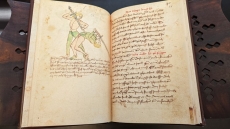 Baumann’s Fight Book (Facsimile HC)