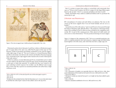 Baumann’s Fight Book (Commentary HC)
