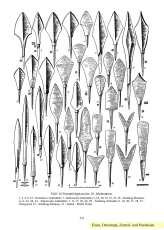 Enzyklopädie der Pfeilspitzen der Welt 2