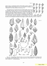 Encyklopedia of Arrowheads of the World 1