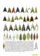 Encyklopedia of Arrowheads of the World 1