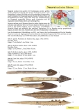 Wiethase: Pfeile, Bogen und Speere Nordamerikas, Kanadas und Grönlands 2