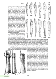 Wiethase: Bows & Arrows of North & Eastern Europe, Central & Northern Asia I