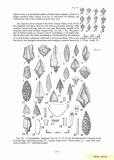 Encyklopedia of Arrowheads of the World 1